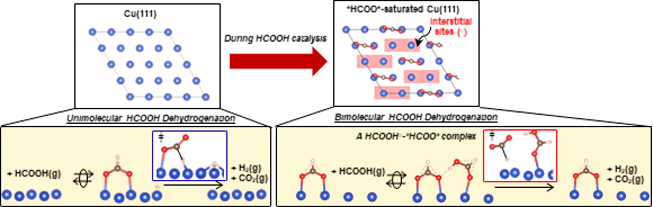 Unimolecular and bimolecular formic acid decomposition routes on dispersed Cu nanoparticles